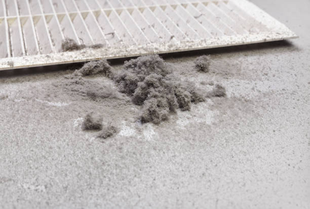 Best Commercial HVAC Duct Cleaning  in Pistakee Highlands, IL