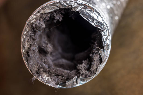 Best Ventilation Cleaning Services  in Pistakee Highlands, IL