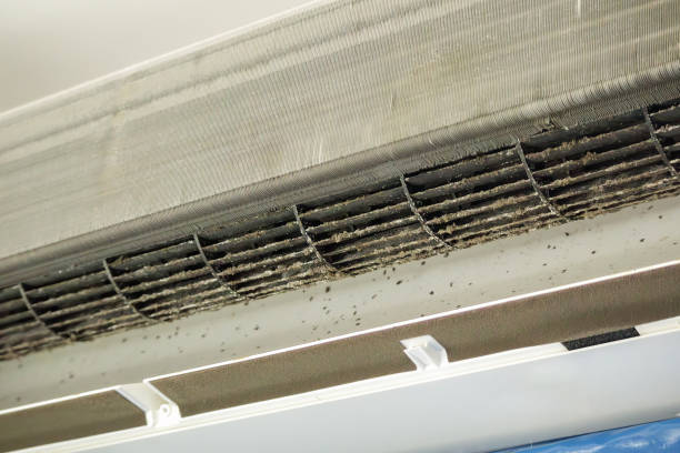 Best Affordable HVAC Duct Cleaning  in Pistakee Highlands, IL