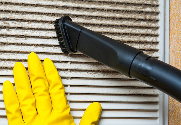 Best Affordable Duct Cleaning Services  in Pistakee Highlands, IL